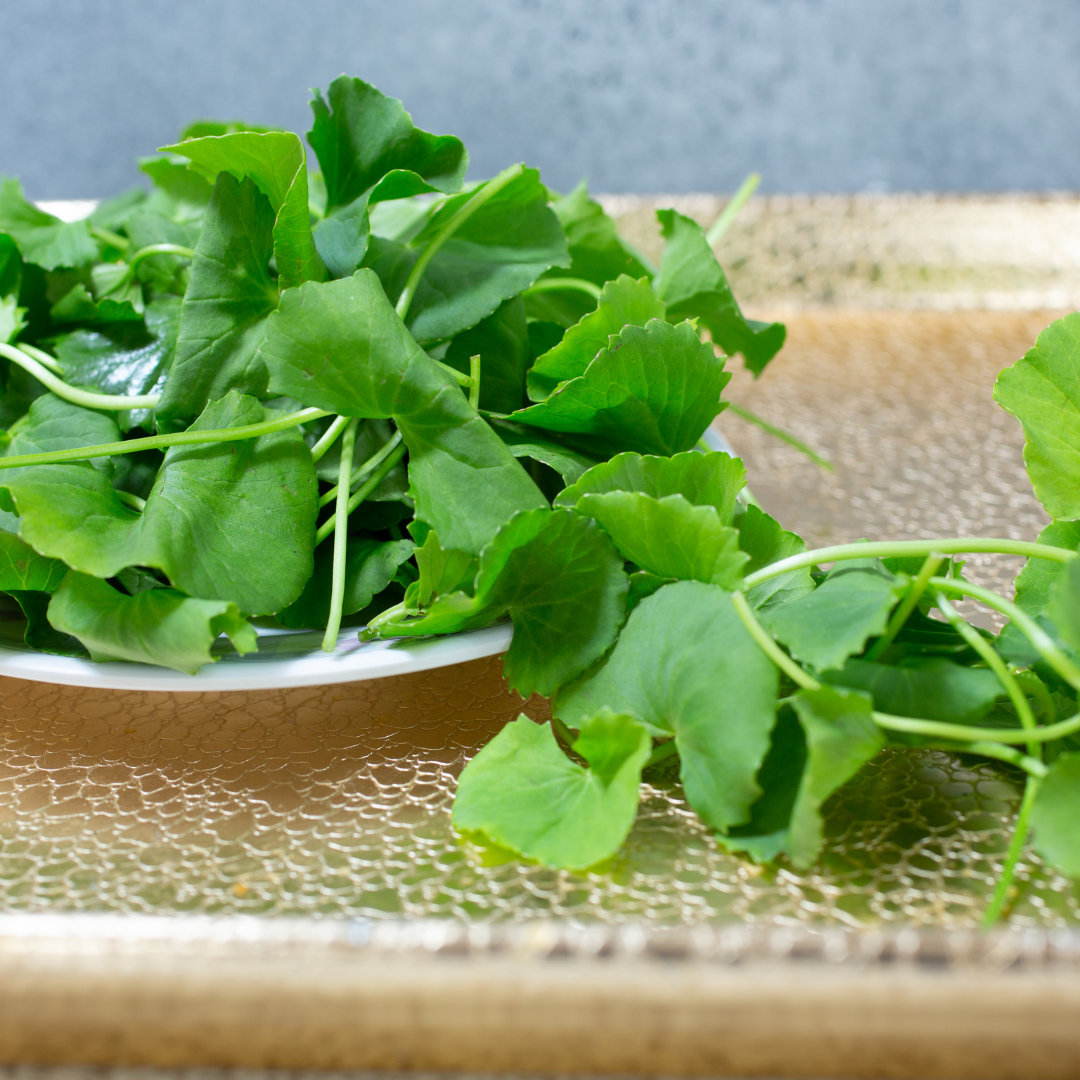 Mani muni (মণি মুনি)